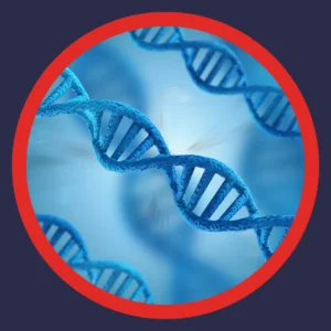 Twisting strands of DNA go across a blue background. 