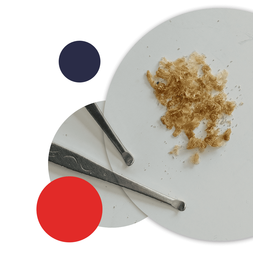 earwax and scraping tools
