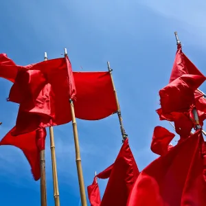 Red flags stand against a blue background. 