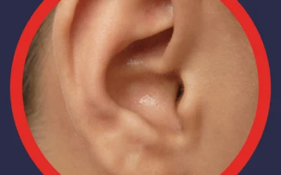 Ear Anatomy: How Every Part Works