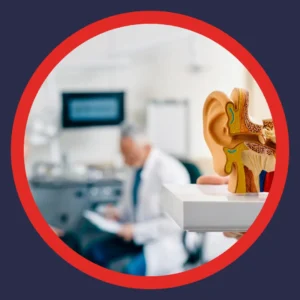 An audiologist sits in an office with a model of an ear. 