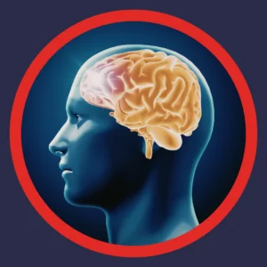 An outline of a head has a yellow brain inside. 